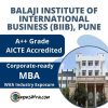 Balaji Institute of International Business (BIIB)