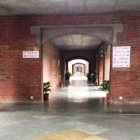 Family Business and Entrepreneurship Management